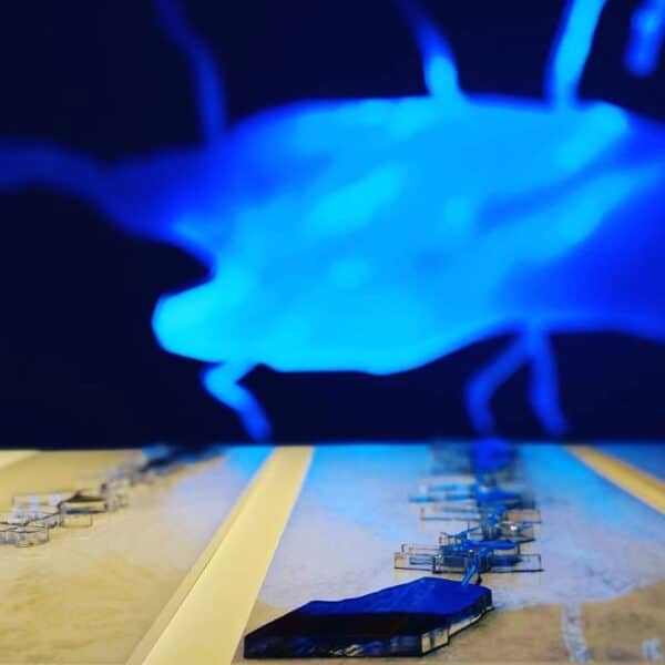 מיצג אמנותי NotFromHere