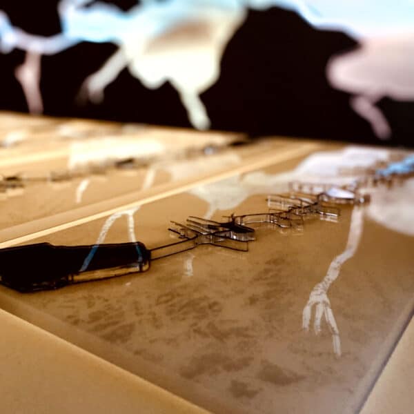 מיצג אמנותי NotFromHere