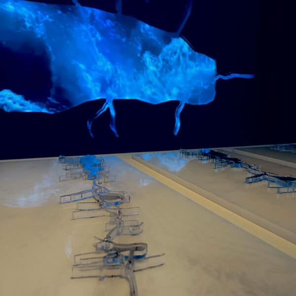 מיצג אמנותי NotFromHere